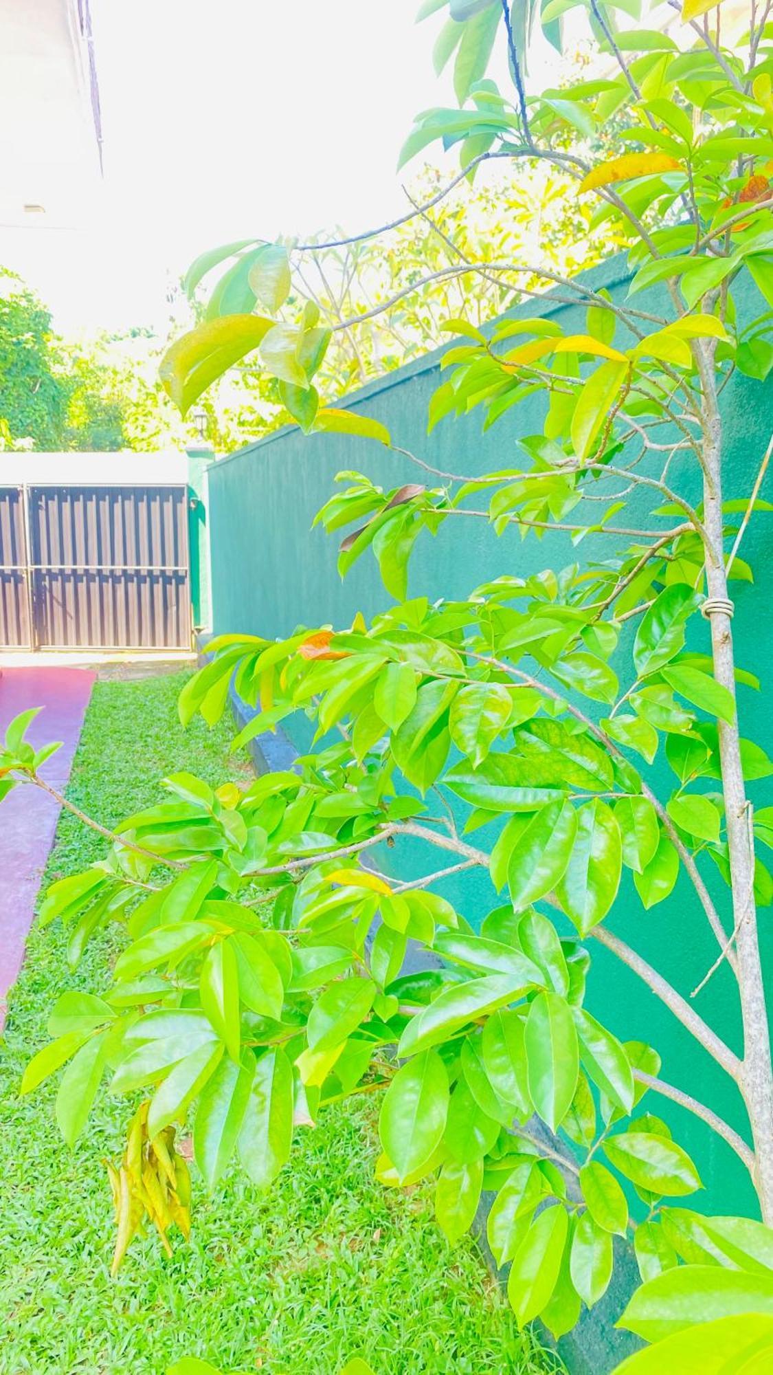 Sanasuma Villa เบนโตตา ภายนอก รูปภาพ